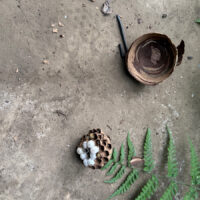 スズメバチの巣 - Do The Right Thing スズメバチの巣